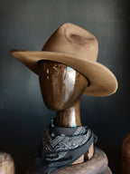 TALL EARP
