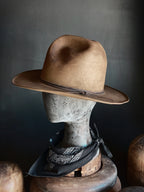 TALL EARP