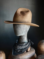 TALL EARP