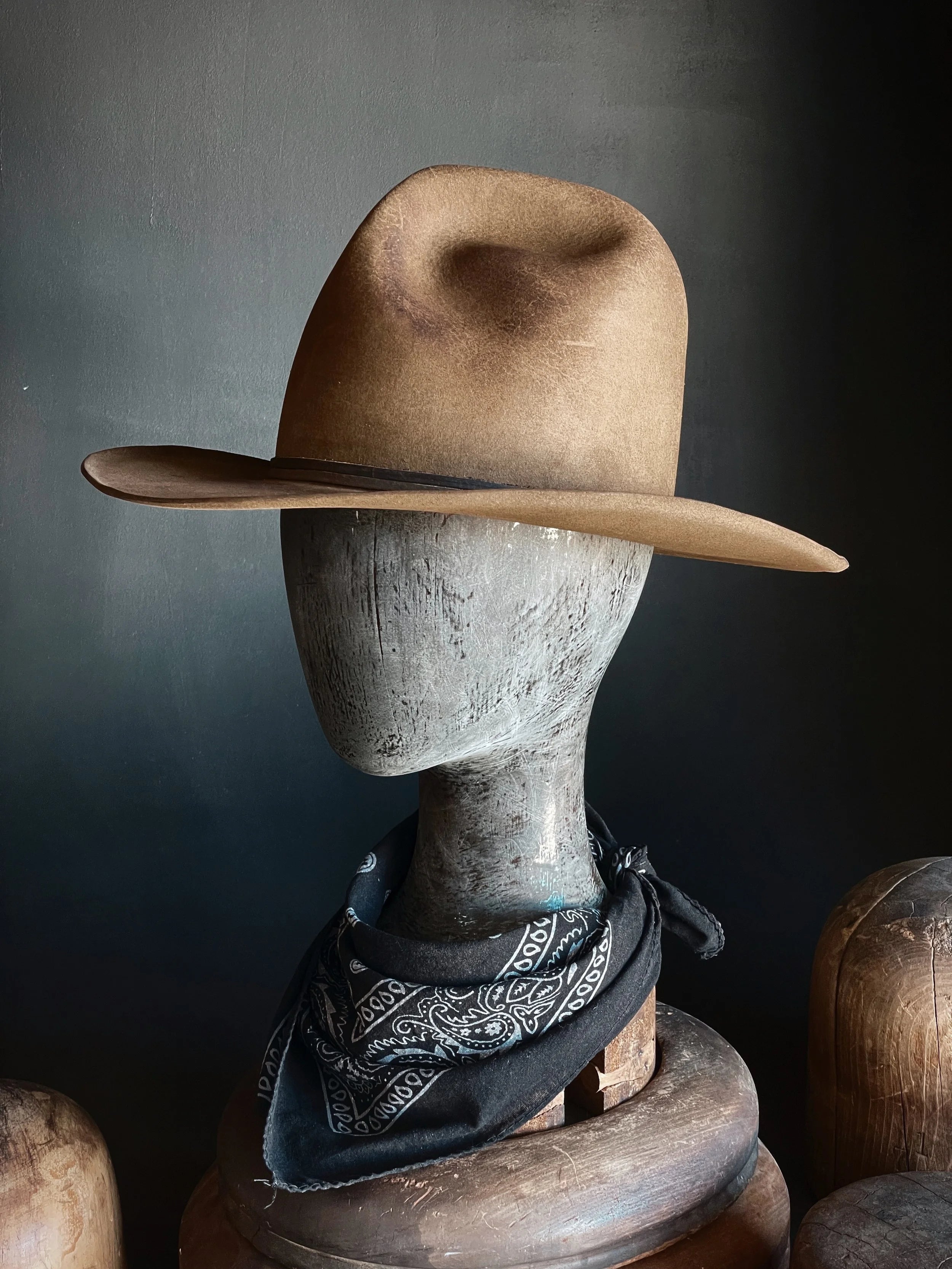 TALL EARP