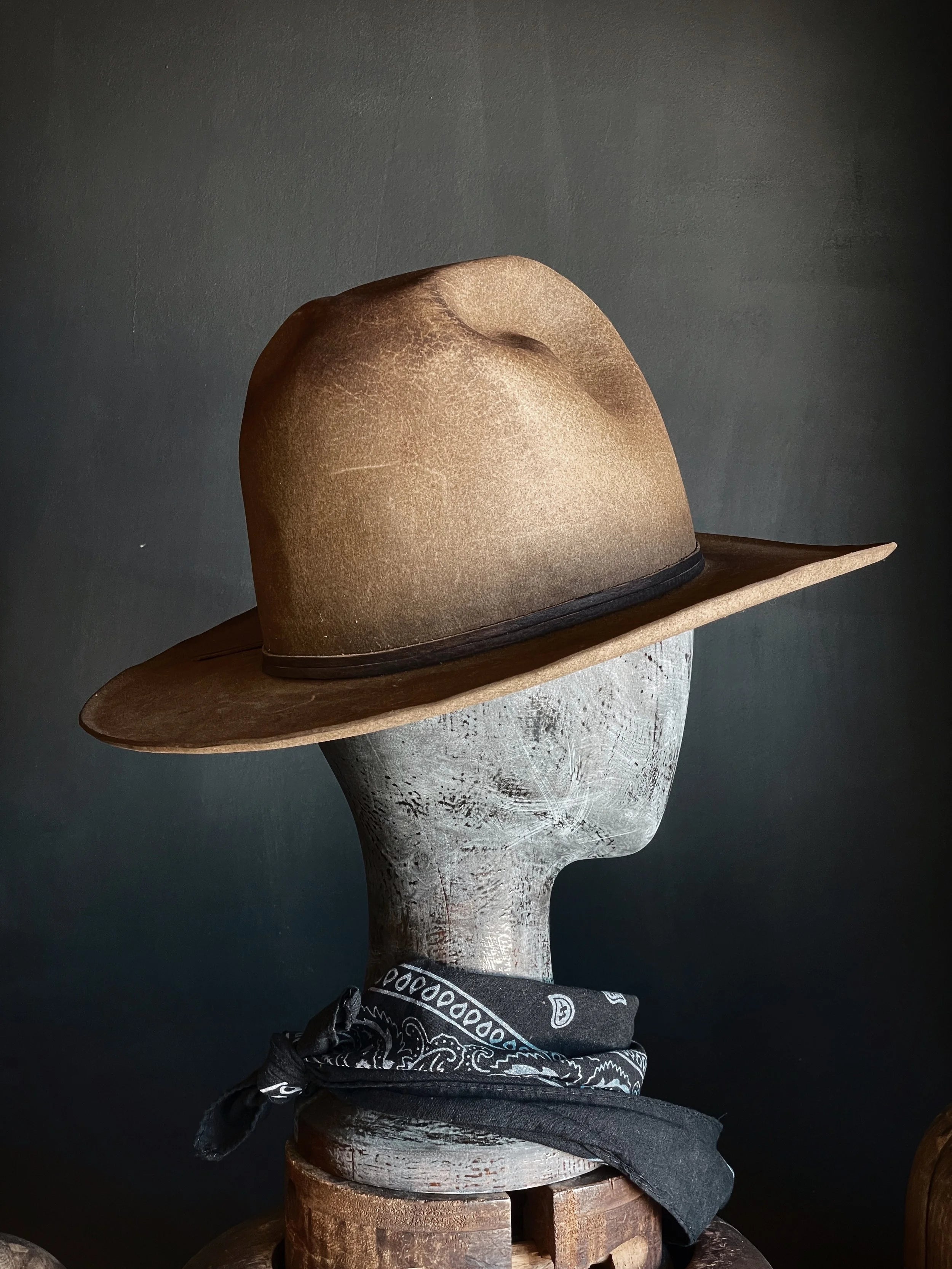 TALL EARP