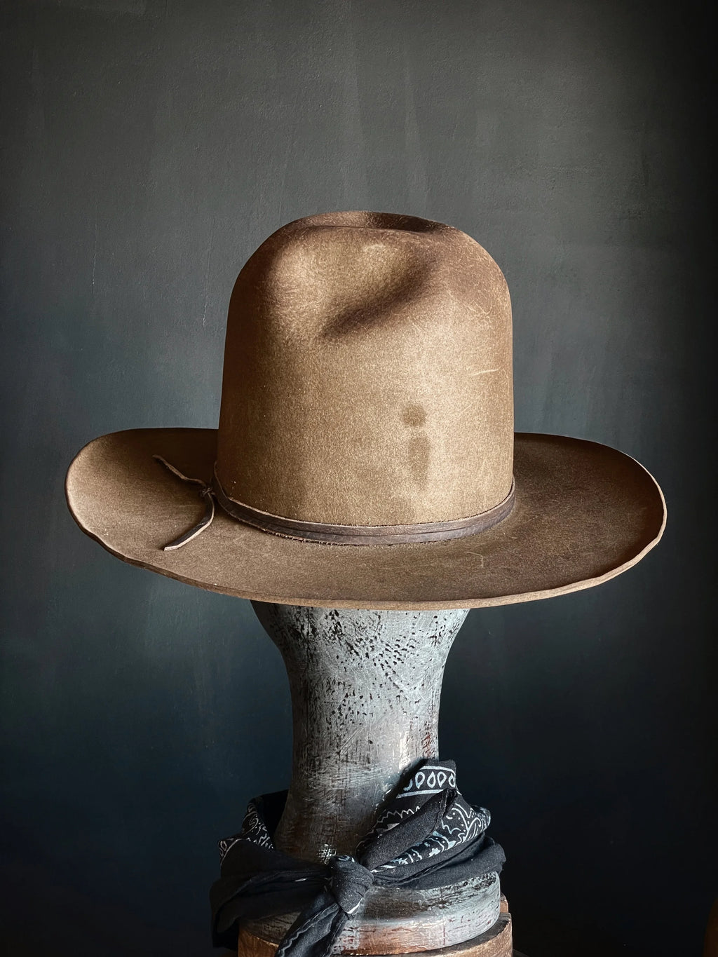 TALL EARP