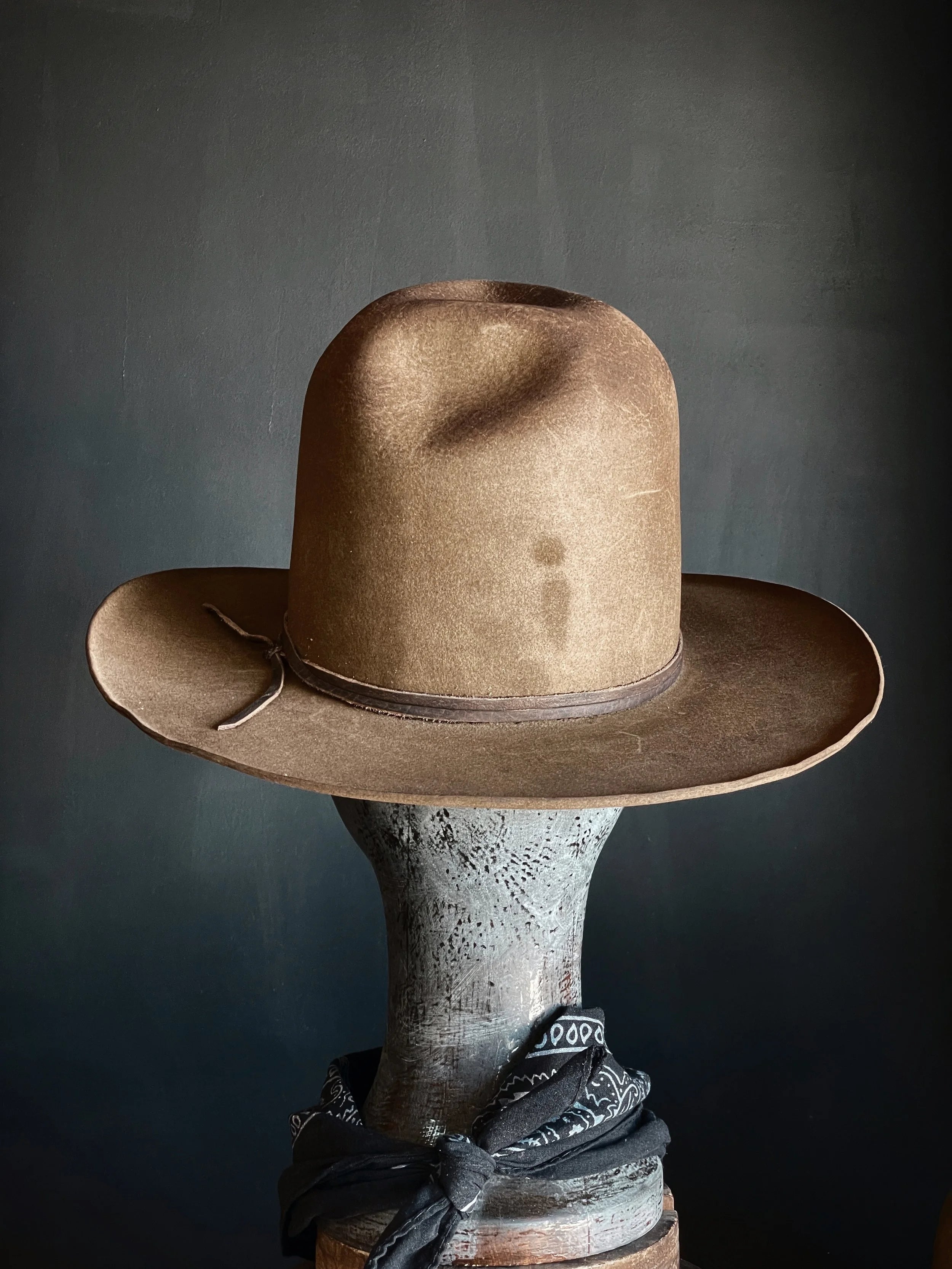 TALL EARP