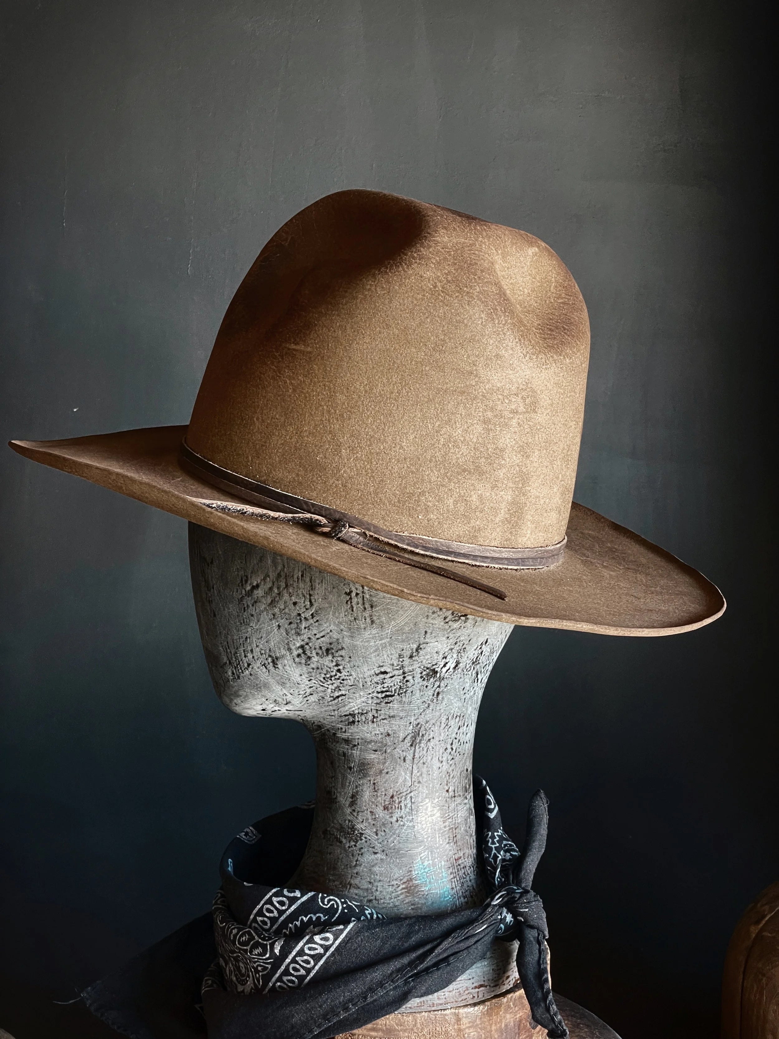 TALL EARP