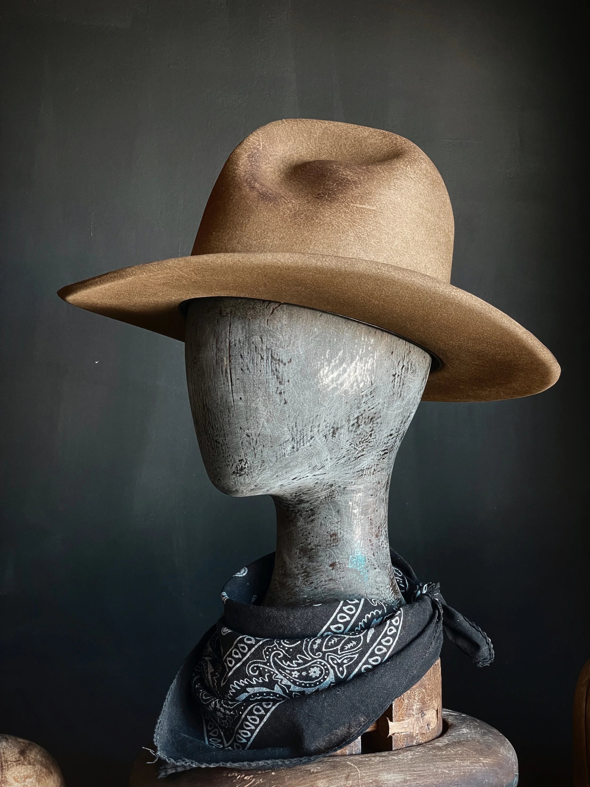 TALL EARP