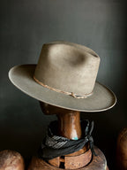 SAGE CATTLE