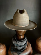 SAGE CATTLE