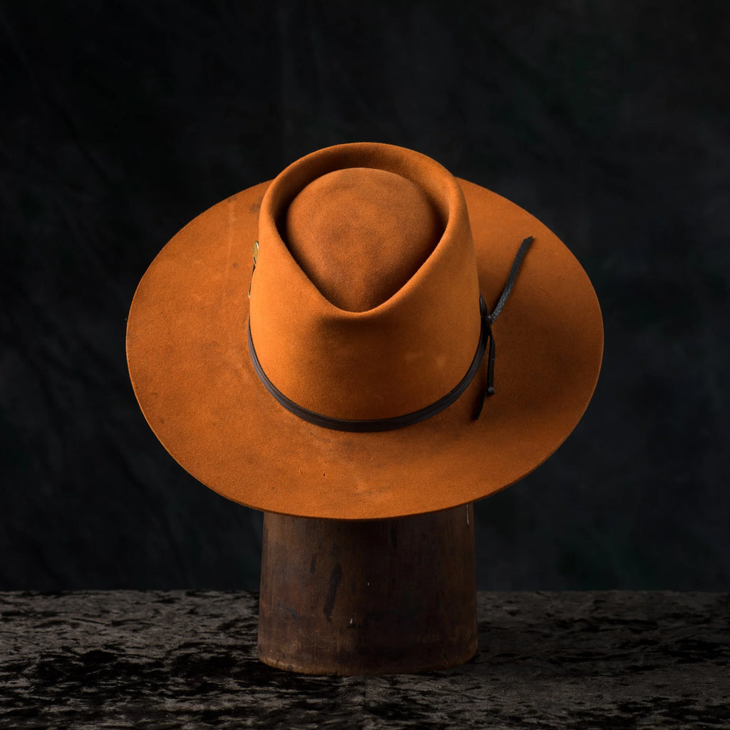 FULVOUS HOLLOW