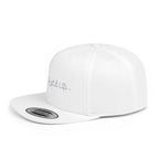 Snapback Hat - (The Faint song 'Worked Up So Sexual')